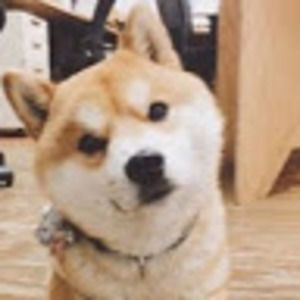 Meet your Posher, Lei